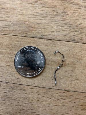 Piece of metal the length of a quarter found in food.