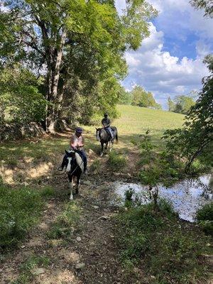 Bella and Blue crossing the stream.