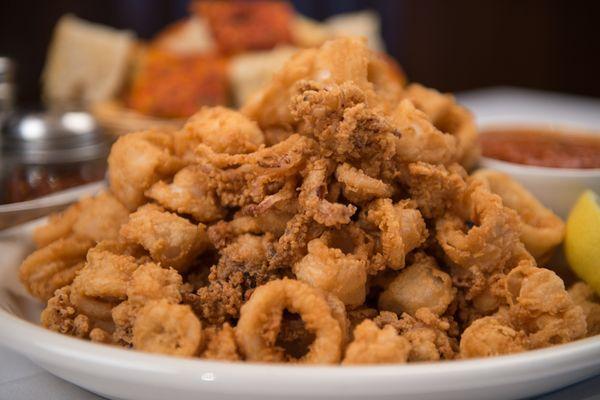 Fried Calamari