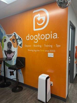 Dogtopia