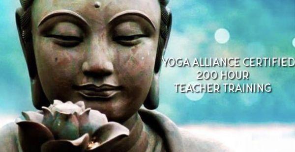 200 hour certified teacher training. Next session September 2021.