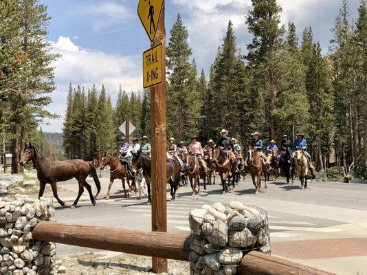 Mammoth Lakes Pack Outfit