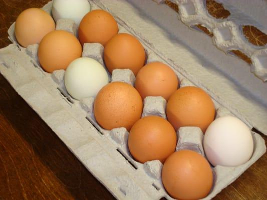 Fresh Local Eggs from Hiram