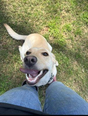 Lucy is always smiling at Endless Love Pet Palace in Warner Robins