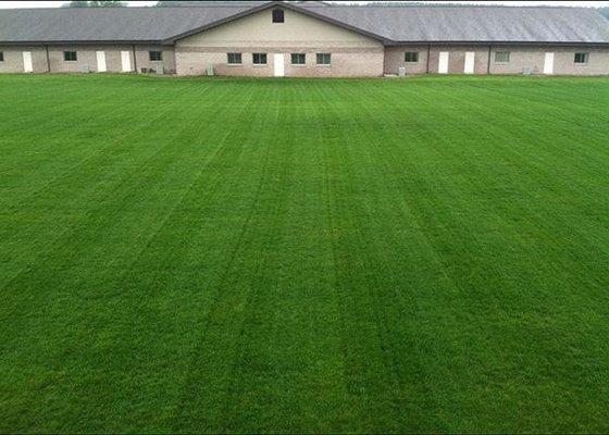 Would you like your lawn to look like this? If so, call us