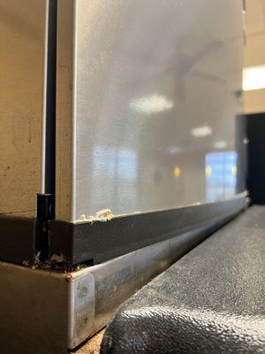 Mold at ice box - soda fountain machine