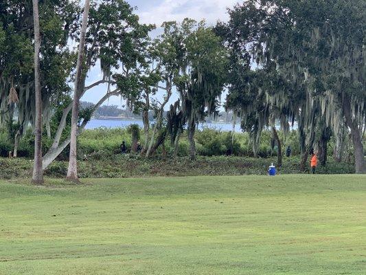 Lake clean up over growth