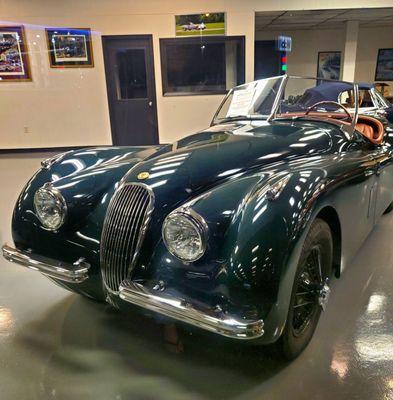 1954 Jaguar Roadster - 9/21/2024