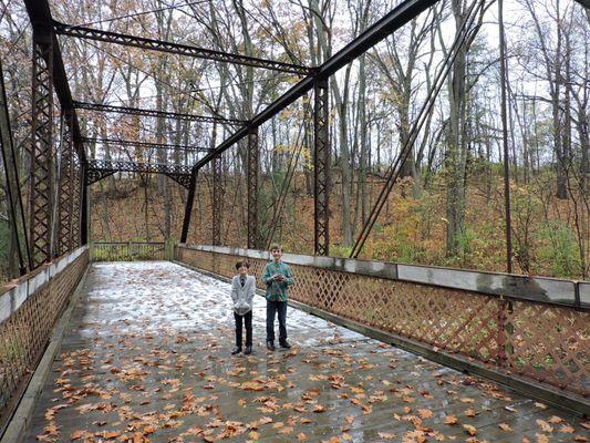 Dark brown bridge over creek.