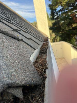 Gutters after "cleaning"