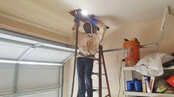 Tylor Howard was catching bees from the back corner of the ceiling cavity.