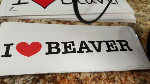 Beaver Boom!