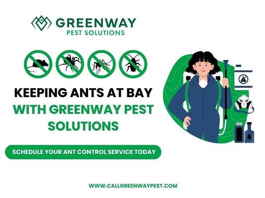 04_Greenway Pest Solutions_Don_t let ants take over your home.jpg