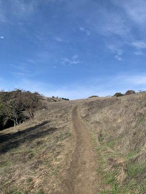 Well paved and obvious trails