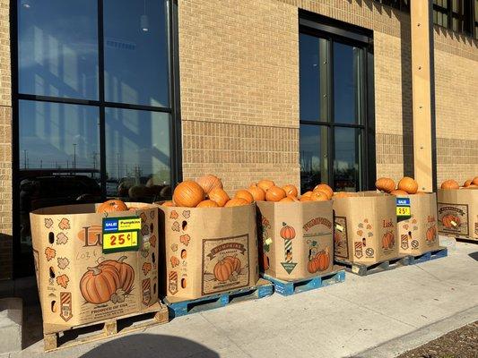 pumpkins on sale