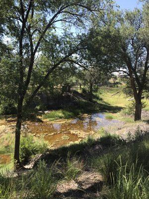 Landscape at the Lubbock Landmark