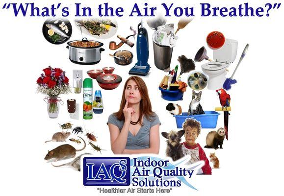 IAQ Solutions Whats In the Air You Breathe IAQS