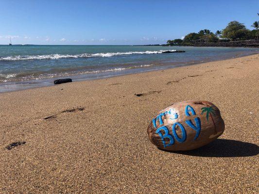 Custom coconut for our gender reveal... Turned out amazing.  Thank you