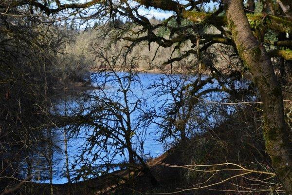 Another lake, visible from the north end of the loop on the hiking trail.