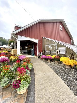 Farm market and mums