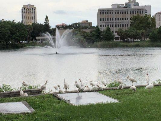 nearby Mirror Lake