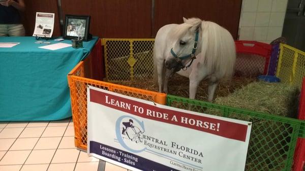 Our pony kiosk in the mall!