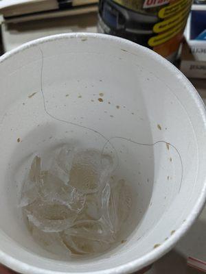 Hair in soda cup.