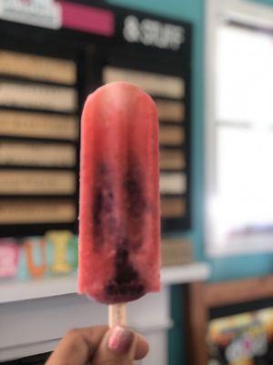 Pop Fusions Gourmet Fruit Pops