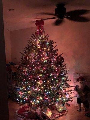 2017 Tree