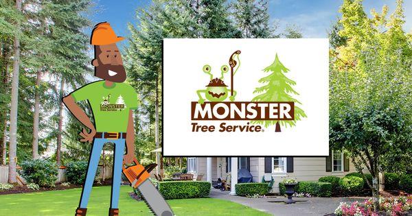 Monster Tree Service of North Charlotte Metro