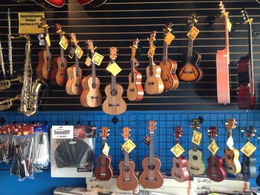 Lots of ukuleles