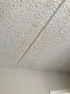 brown water stain on ceiling of my unit. this was one of many. taken on camera phone so it was hard to capture