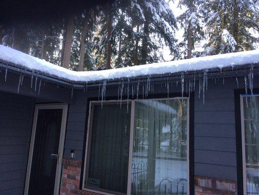 More pictures of the ice cycles which when melting left troughs in our landscaping.