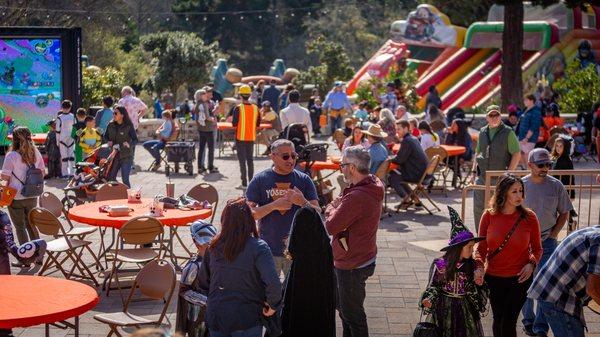 Families gather in our courtyard at the annual Shoreline Fall Family Festival.