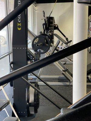 Cardio machines, free weights, machine weights