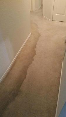 RESIDENTIAL CARPET CLEANING
 (BEFORE)