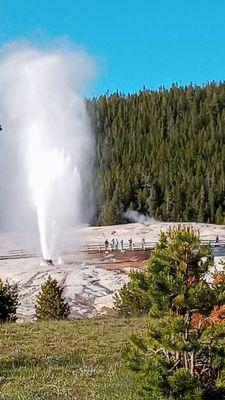 Beehive Geyser