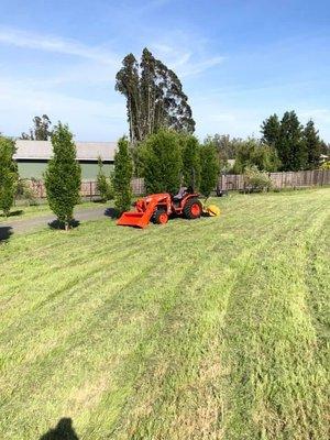 High weed mowing