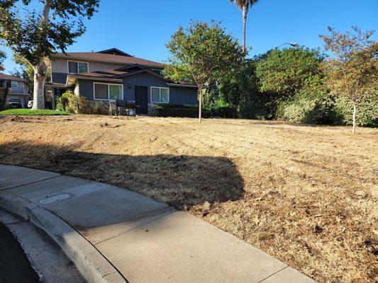 No notice was given to homeowners before their yards were ripped out with no authorization from the actual landowners.