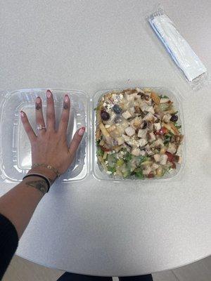 Fattoush Salad with chicken - hand for size reference