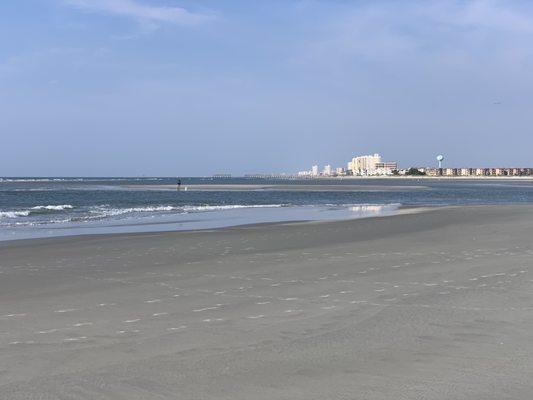 View of North Myrtle Beach from the island we kayaked to