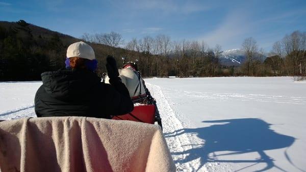 On the way back with Jack, the friendly white horse :)