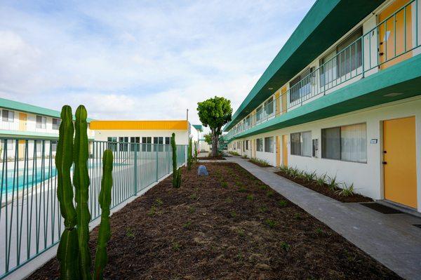 Paloma Pool and Courtyard