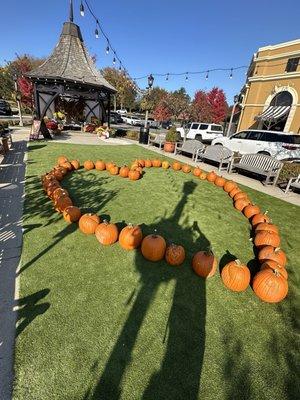 Pick a pumpkin, scan QR code and pay only $5! I grabbed 2 giant pumpkins for only $10!