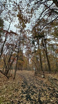 Fall hike