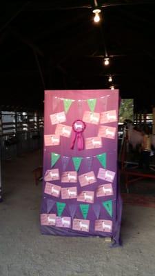 4H Fun at the Fair