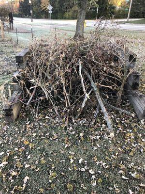 Fire pit to burn excess branches and leaves