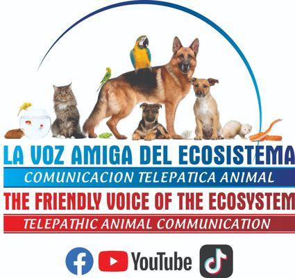 ANIMAL COMMUNICATION