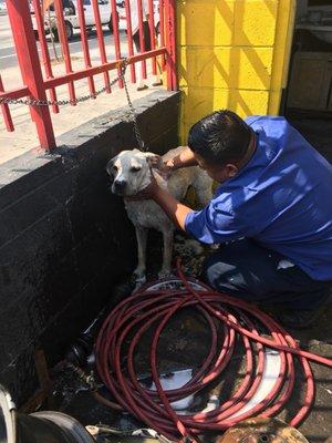 Un baño para quitarle las pulgas