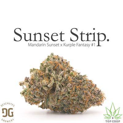 Deschutes Growery available a Top Crop -- the first solar-powered cultivar in the state of Oregon!